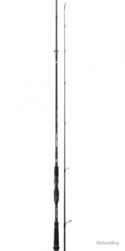 Bassforce Special Spinning CANNE BASSF.SP. 2,23M 9-46G