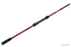 Canne Casting BFT Instinct 2m30 2 119cm Max 120g 197g