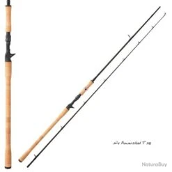 Canne Casting Westin W4 Powershad T 218