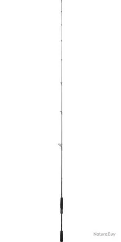 Canne Daiwa Spinning Prorex Ags 711 MHFS 2,16M 7-28G