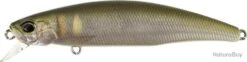Leurre Duo Tide Minnow 75S ACC4810