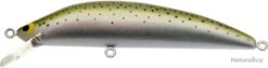 Leurre Tackle House Bks 115 RAINBOW TROUT