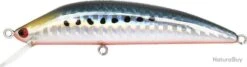 Leurre Tackle House Bks 75 SARDINE RED BELLY