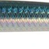 DUO TIDE MINNOW 200 FLYER AHA0011 SARDINE