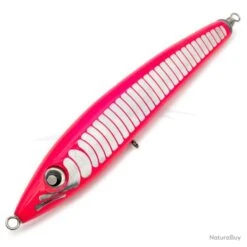 Temple Reef Lambo 260-170S Pink / Silver