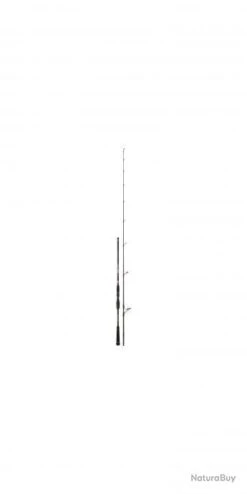 Bassforce Special Spinning CANNE BASSF.SP. 2,23M 9-46G -Magasin De Matériel De Pêche 00003 Bassforce Special Spinning CANNE BASSF.SP . 2 23M 9 46G