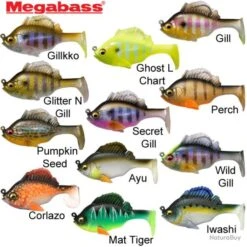 Leurre Sleeper Gill Megabass 3.2 3/4 - 8cm Iwashi 7 Leurre Sleeper Gill Megabass 3.2 3/4 - 8cm Iwashi -Magasin De Matériel De Pêche 00006 Leurre Sleeper Gill Megabass 3.2 3 4 8cm Iwashi