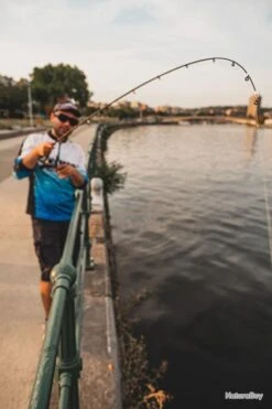 FOX RAGE Cannes Light Shad 220Cm 5-20G 23 FOX RAGE Cannes Light Shad 220Cm 5-20G -Magasin De Matériel De Pêche 00010 Cannes Light Shad 220Cm 5 20G