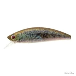 Leurre Coulant Sakura Phoxy Minnow Hw - 4 Cm / 2.6 G / Real Life Spawning Vairon -Magasin De Matériel De Pêche 00016 Leurre coulant Sakura Phoxy Minnow Hw 4 cm 2.6 g Real Life Spawning Vairon
