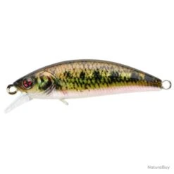 Leurre Coulant Sakura Phoxy Minnow Hw - 4 Cm / 2.6 G / Real Life Spawning Vairon -Magasin De Matériel De Pêche 00017 Leurre coulant Sakura Phoxy Minnow Hw 4 cm 2.6 g Real Life Spawning Vairon