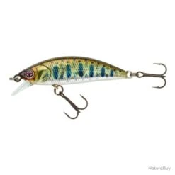 Leurre Coulant Sakura Phoxy Minnow Hw - 4 Cm / 2.6 G / Real Life Spawning Vairon -Magasin De Matériel De Pêche 00021 Leurre coulant Sakura Phoxy Minnow Hw 4 cm 2.6 g Real Life Spawning Vairon