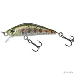 Leurre Gunki Gamera HW 5 Cm - 3,5 Cm - Rainbow Trout Gb / 6 -Magasin De Matériel De Pêche 00068 Leurre Gunki Gamera HW 5 cm 3 5 cm Rainbow Trout Gb 6