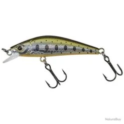 Leurre Gunki Gamera HW 5 Cm - 3,5 Cm - Rainbow Trout Gb / 6 -Magasin De Matériel De Pêche 00071 Leurre Gunki Gamera HW 5 cm 3 5 cm Rainbow Trout Gb 6